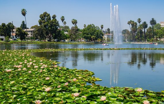 Park in Los Angeles door Kit Leong (bron: Shutterstock)