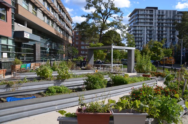 Toronto, Regent Park door Birkhaüser (bron: Resilient City: Landscape Architecture for Climate Change)
