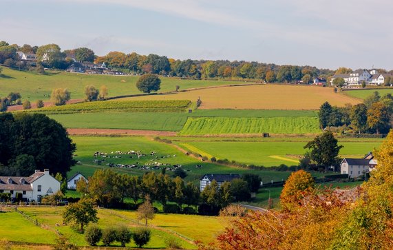 Herfstlandschap in Zuid-Limburg door Wut_Moppie (bron: Shutterstock)