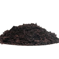 Grond door Sandra van der Steen (bron: Shutterstock)
