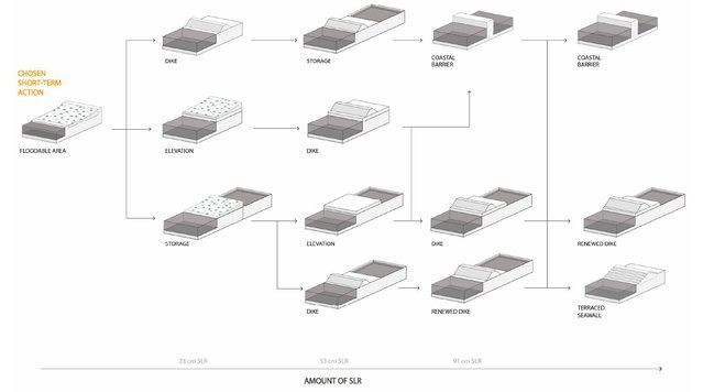 Multifunctionele strategie door Zandvoort et al. (bron: MDPI)