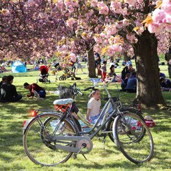 Lente in een park in Frankrijk door Elena Skalovskaia (bron: Shutterstock)