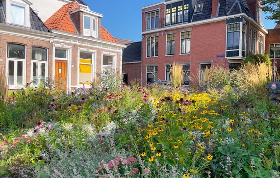 Groene Oase tussen gebouwen in door Rene Notenbomer (bron: Shutterstock)
