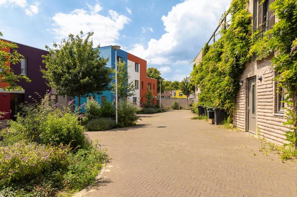Groene straat door Lea Rae (bron: shutterstock.com)