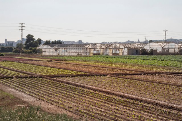 Landbouwpark Baix Llobregat in Spanje. door elisa galceran garcia (bron: Shutterstock)