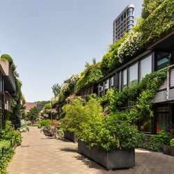 Prettige groene woonstraat in Eindhoven door Lea Rae (bron: shutterstock.com)