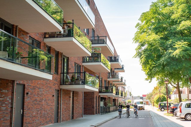 Wonen in Rijnhuizen door Neeltje Kleijn (bron: Neeltje Kleijn)