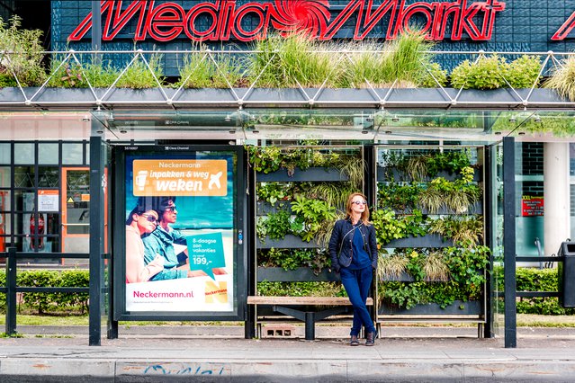 Bushalte in Eindhoven door Alex Tihonovs (bron: shutterstock.com)