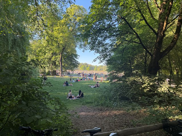 Englischer Garten Crowd door Martijn van Veelen (bron: Martijn van Veelen)