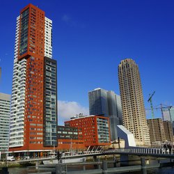 rotterdam hoog