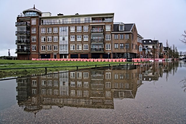 Hoorn door Dylan Winter (bron: shutterstock)