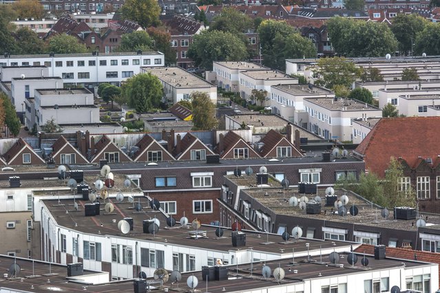 Vogelvlucht, Rotterdam Zuid door jarrow153 (bron: Shutterstock)