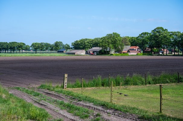 Verse ingezaaide landbouwgrond voor de voedingsindustrie op het Nederlandse platteland in Huijbergen, Noord-Brabant, Nederland 16 mei 2025 door Werner Lerooy (bron: Shutterstock)