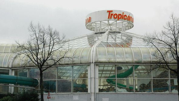 tropicana