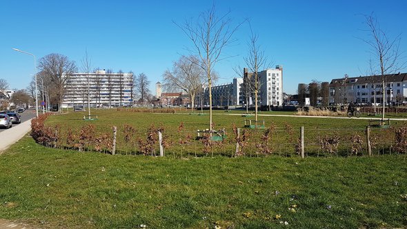 Koningspark op de Groene Loper, Maastricht door Kleon3 (bron: Wikimedia Commons)