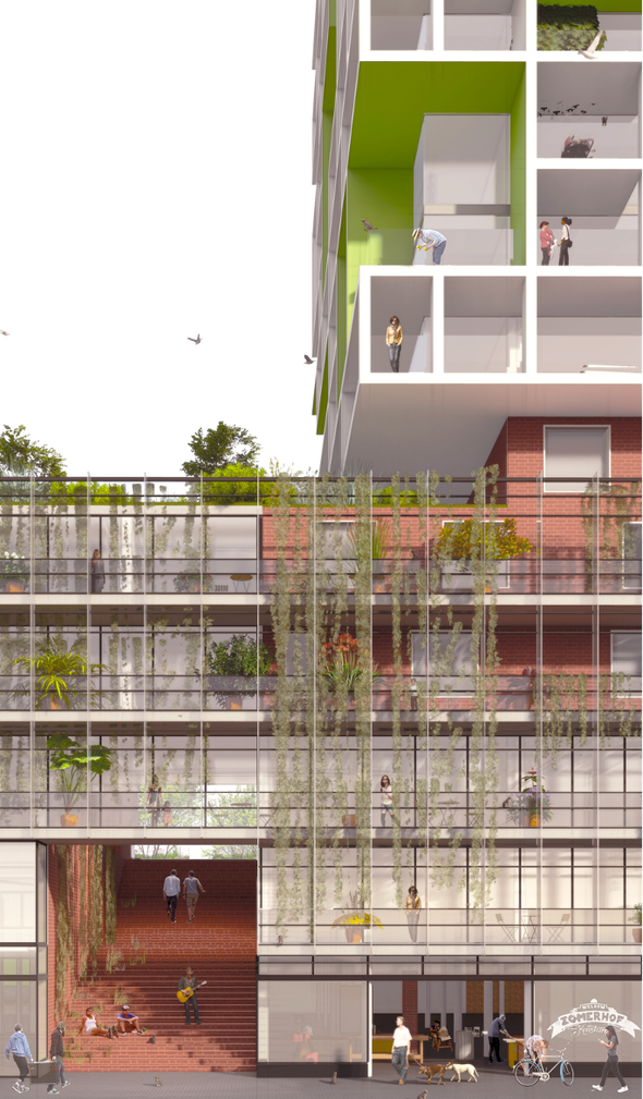 Zomerhofkwartier, dakpark -> ECHO urban design