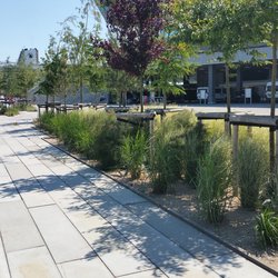 Vergroenen van plein, Aarhus door Nanda Sluijsmans (bron: Wikimedia Commons)