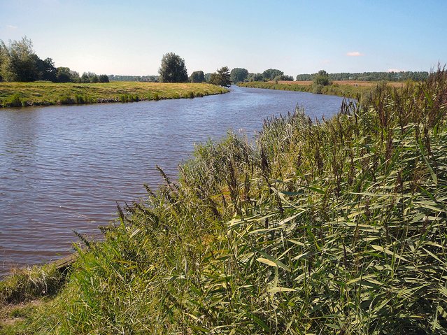 Reitdiep bij Dorkwerd door Lampje (bron: Wikipedia Commons)