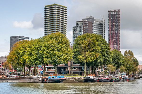 Wijnhaveneiland, Rotterdam door Frans Blok (bron: shutterstock.com)