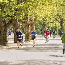 Het Vondelpark in Amsterdam door Jan van der Wolf (bron: Shutterstock)