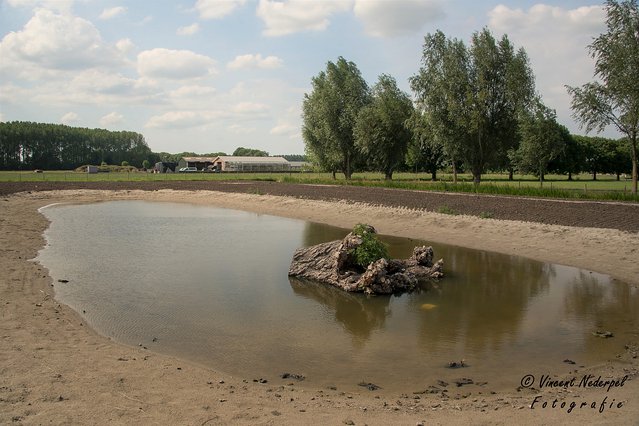 Paddenpoel door Vincent Nederpel (bron: Heijmans)