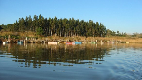 Managing multiple problems affecting lagoons in Europe - Afbeelding 4