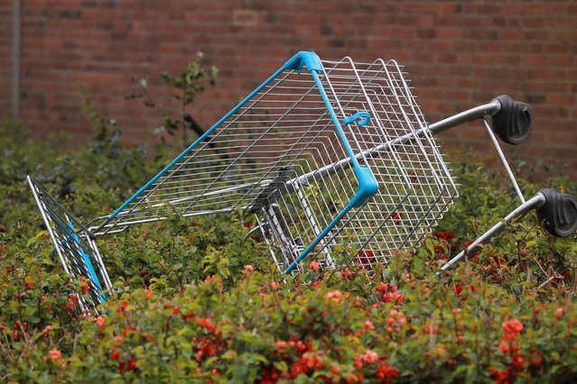 Winkelwagen in de struiken door Ronald Wilfred Jansen (bron: Shutterstock)