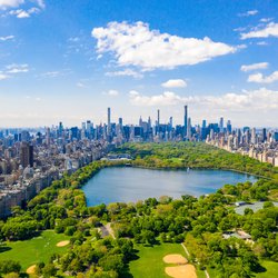 Luchtfoto van het Central Park in New York door Ingus Kruklitis (bron: Shutterstock)