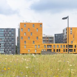 Nieuwbouw in Breda door Lea Rae (Shutterstock)
