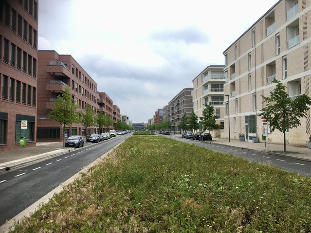 Straat Überseestadt Bremen door Kees de Graaf (bron: Gebiedsontwikkeling.nu)