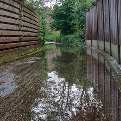 Overstroomd pad in Nederland na hevige regenval door Pim Kraster (bron: shutterstock)