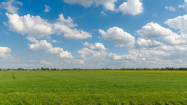 Grasland door Wut_Moppie (bron: Shutterstock)