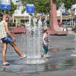 Hittegolf in Eindhoven door Nicolas Economou (bron: Shutterstock)