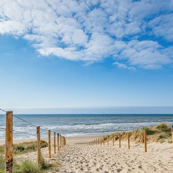 Duinen Noordzee door Corri Seizinger (bron: Shutterstock)