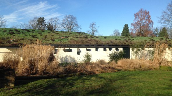 Museum Klok en Peel Asten, natuurinclusief bouwen door Ymnes (bron: Wikimedia Commons)