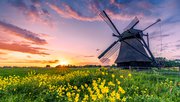 Nederlands landschap, Friesland door larskuse (bron: shutterstock.com)