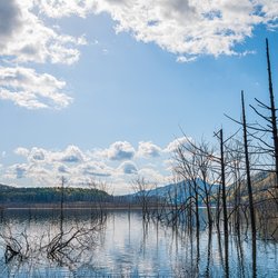 Lake Shuparo, Hokkaido door KUROKAWA MOKU (bron: Shutterstock)