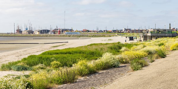 Kust van Harlingen door Intrigue Photography (bron: Shutterstock)
