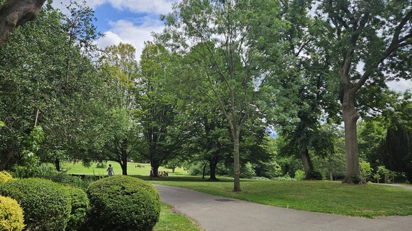 Waterloo Park in Highgate door Maaike Schravesande (bron: Maaike Schravesande)