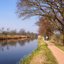 Natura 2000 natuurgebied Ankeveense Plassen in Wijdemeren, Noord-Holland, Nederland. door Thomas Dekiere (bron: Shutterstock)