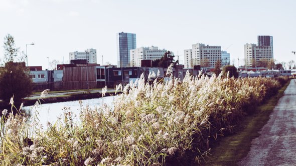 Amsterdam river and Bijlmer Bajes prison with nature and plants door etreeg (bron: Shutterstock)