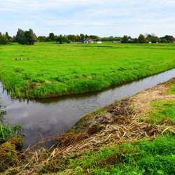 Sloot water weide door Mabel Amber (bron: Pixabay)