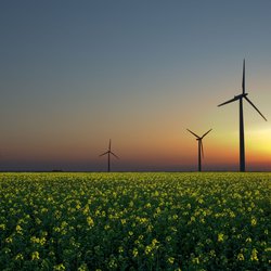 Master Class Ontwerpkracht en Energietransitie helpt gemeenten energiebeleid te verduurzamen