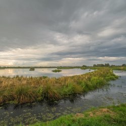 Waterberging landschap weiland