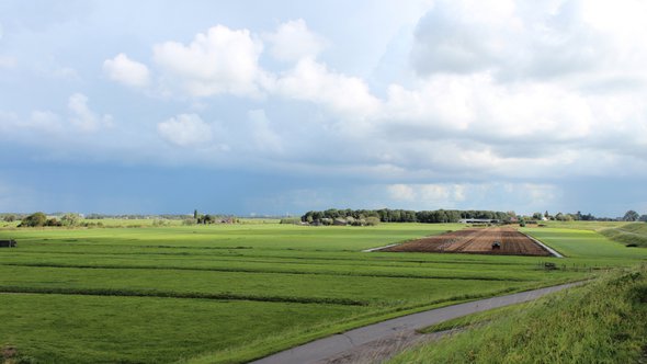 Zuidplaspolder door Andre Muller (bron: Shutterstock)