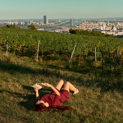 Lezen in de zon, met uitzicht op Wenen door Artischoq (bron: shutterstock)