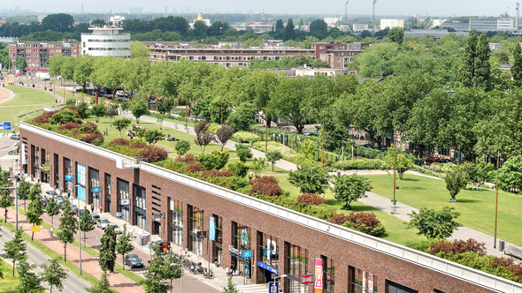 Dakpark Rotterdam door Frans Blok (bron: Shutterstock)