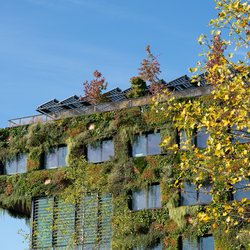 Groene gevel, gebouw voor Floriade, Almere door Smeerjewegproducties (bron: Shutterstock)