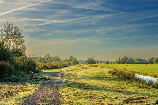 Een polder ten zuiden van Alphen aan den Rijn door Photodigitaal.nl (bron: Shutterstock)