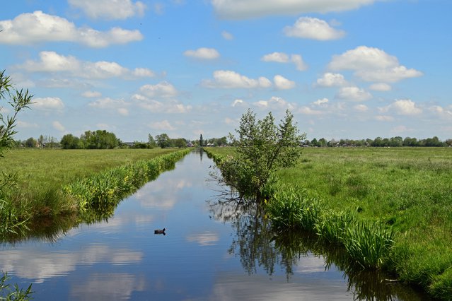 Kanaal, Groene Hart door Henriette V. (bron: Shutterstock)